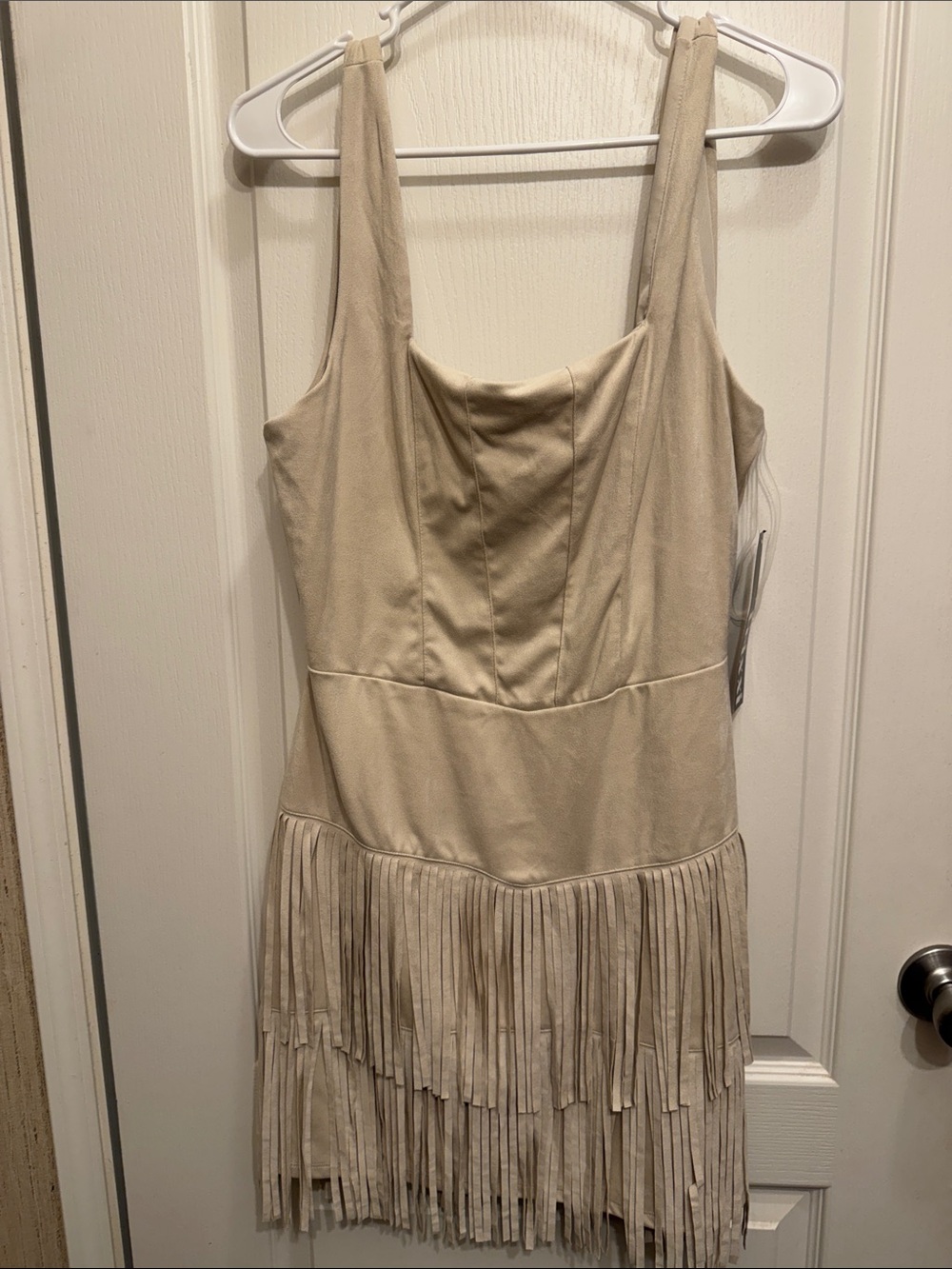 Trixxi Beige Fringe Mini Dress